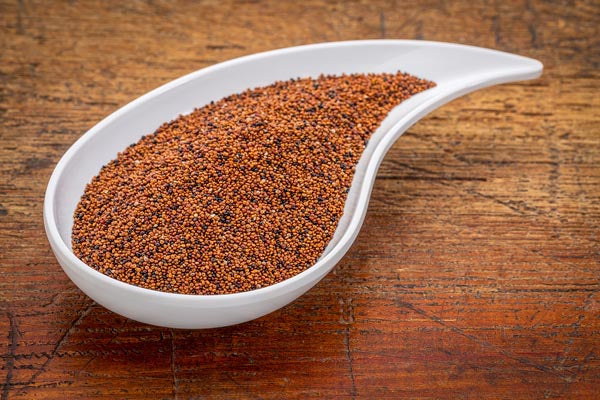 Kaniwa - Bébé Quinoa