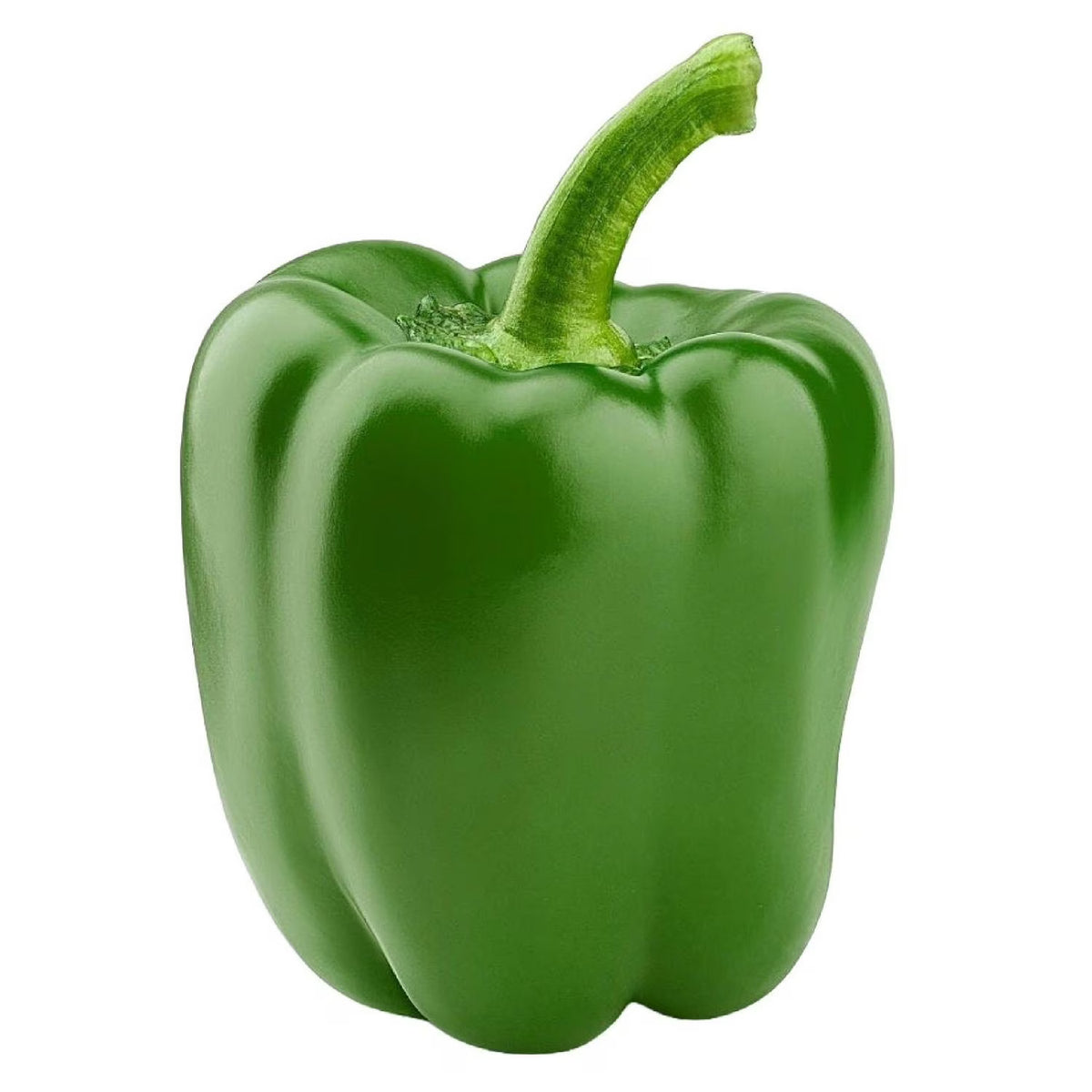 Green Bell Pepper Medium