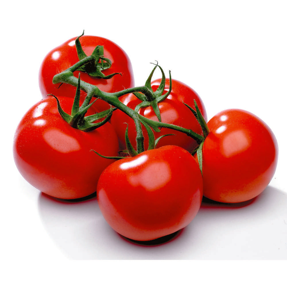 Tomate de vigne