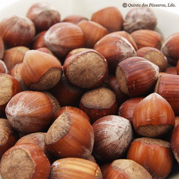 Noisette Jumbo Nature
