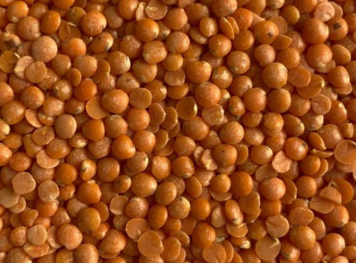 Lentille Melange 350g 300g