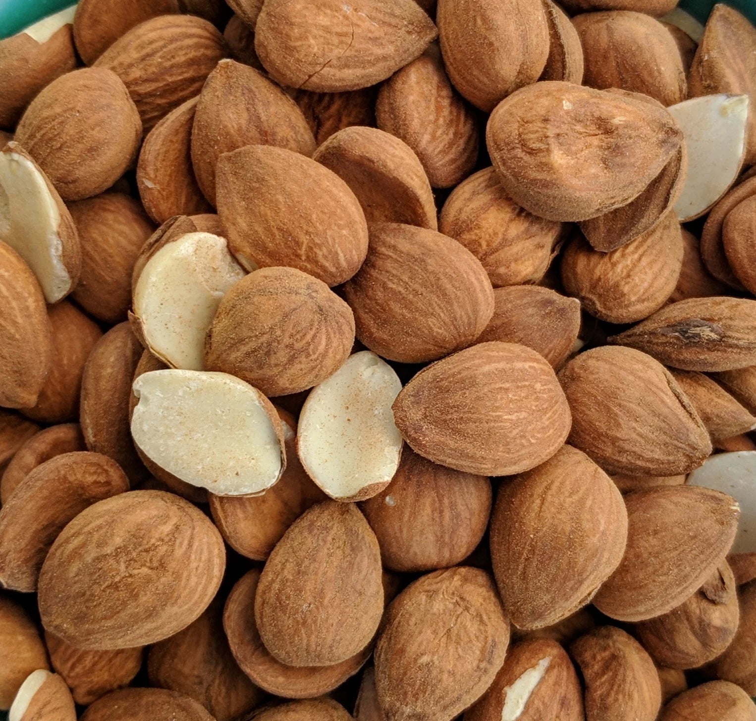 Noix D Abricot