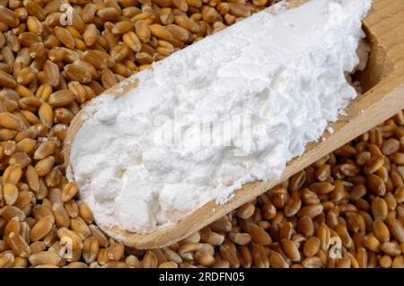 Wheat Starch Ariya (gol)
