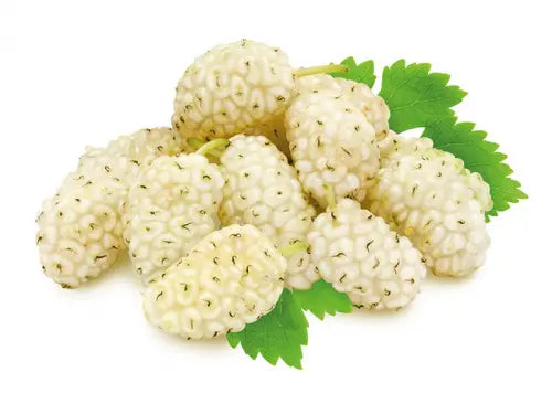 Mure Blanche
